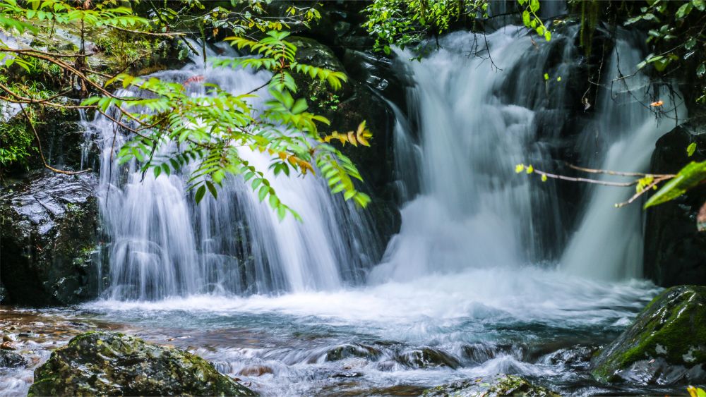 绿洲·牧心谷｜千岛湖秘屿，行走童话森林