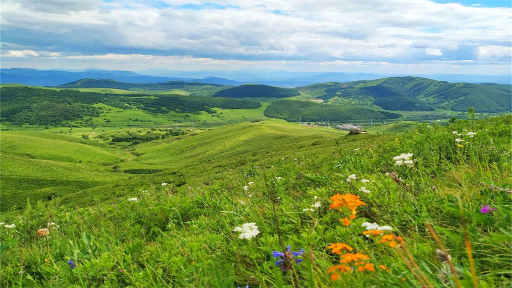 每周一山·红花梁丨繁花似锦，高山草甸环穿1日