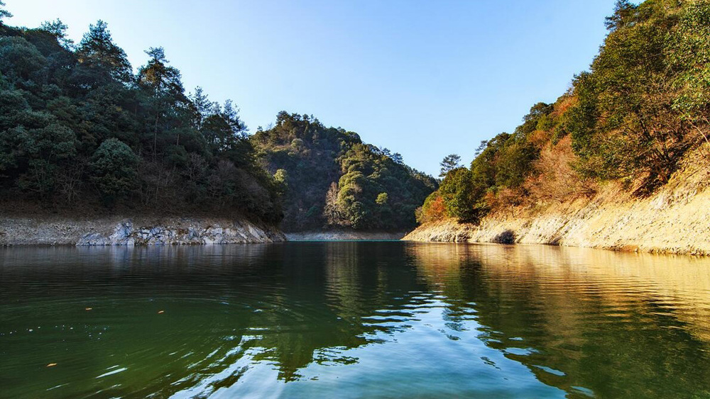 绿野星球·牧心谷|闯入童话森林,行走秘境千岛湖