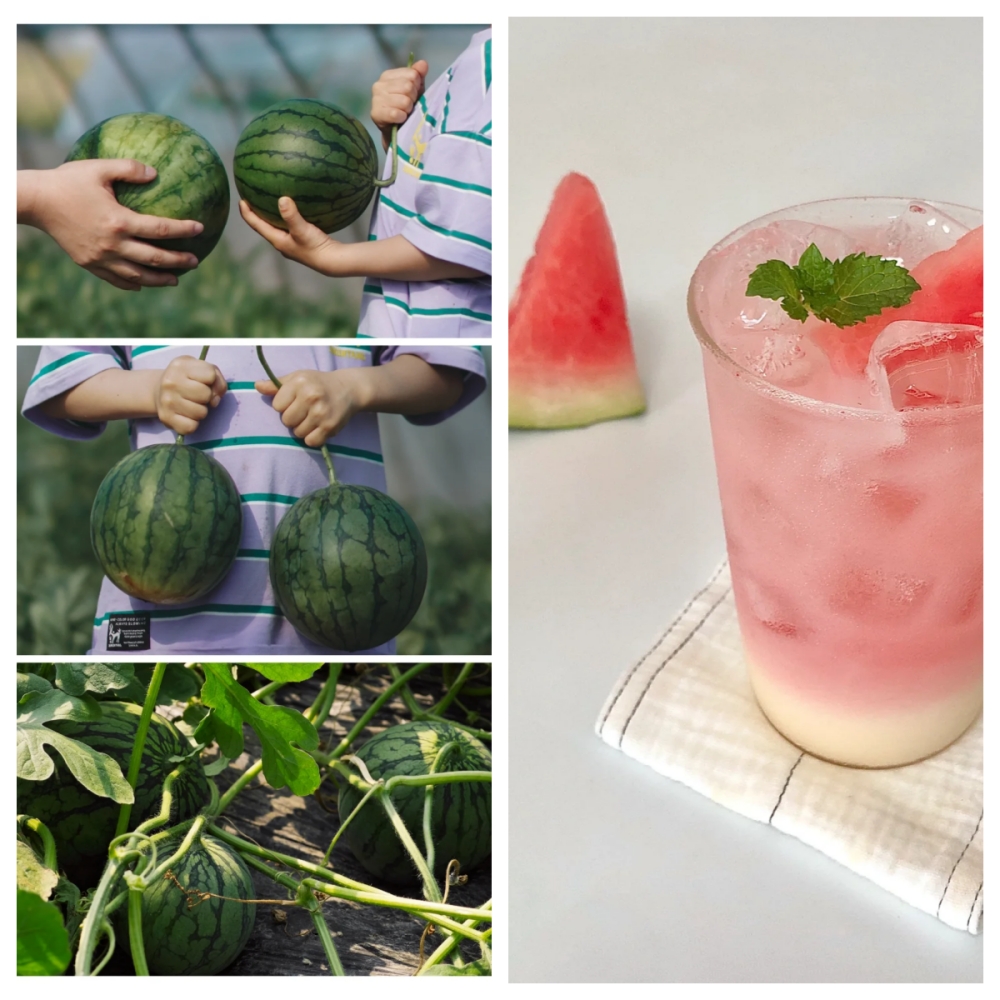 亲子·莫干山赏萤|仲夏漂流追光，溪上纳凉夏日会