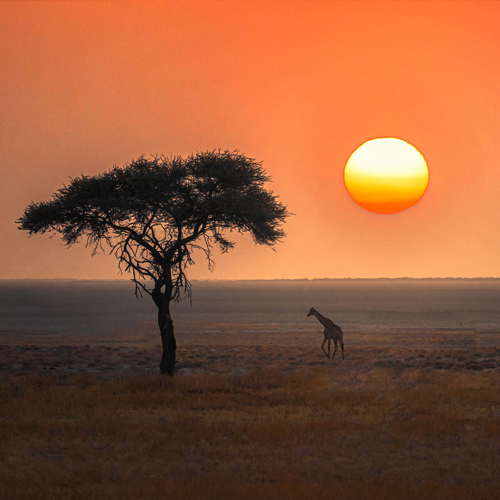 纳米比亚摄影·狂野之地12日