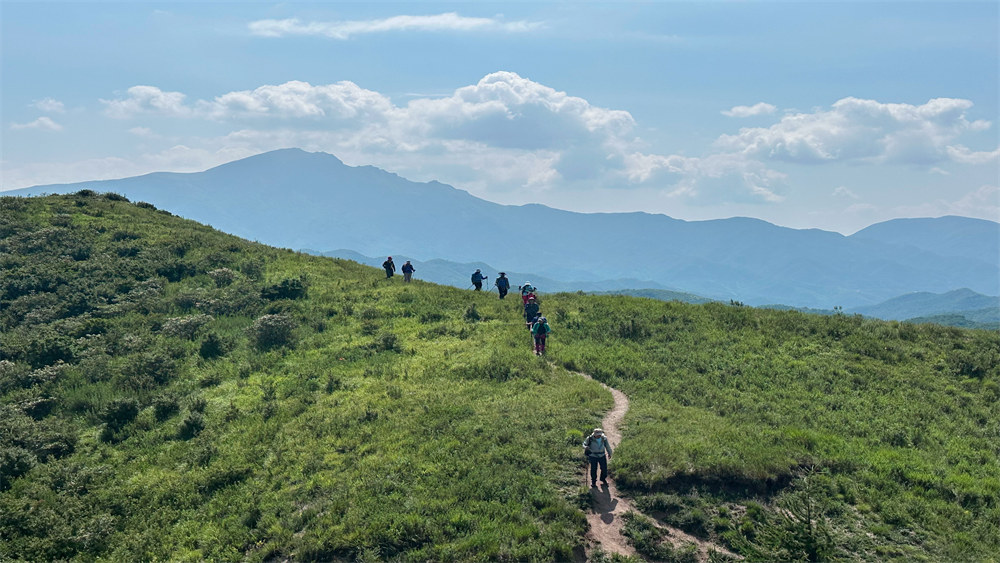 勇者无畏·西南灵丨高山草甸，西南秘境穿越1日