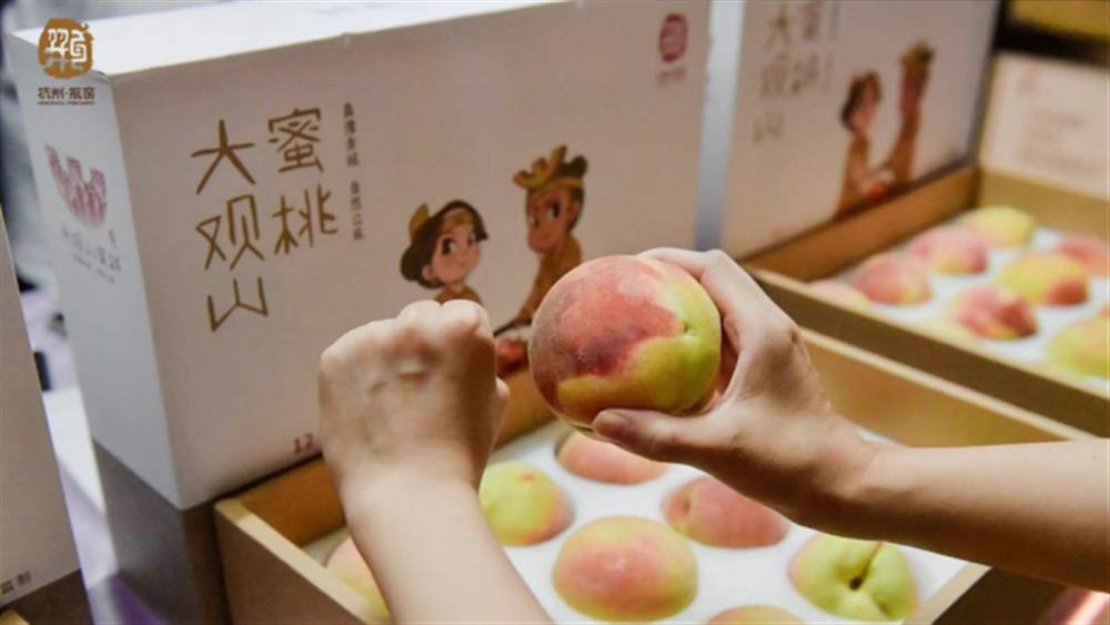 乡耕创收·水蜜桃采摘 跟着老师探访瓶窑老街