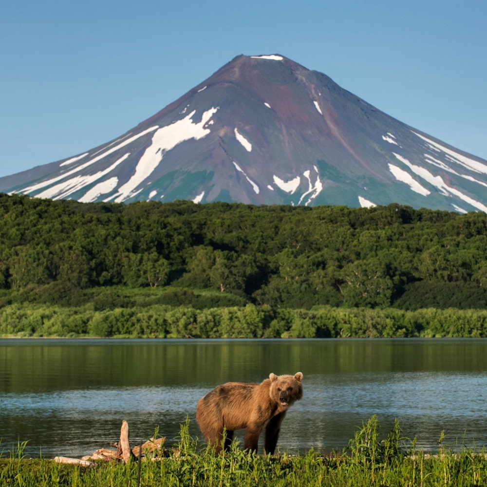 狂野堪察加·俄罗斯远东探险9日 | 寻找地球初的原始