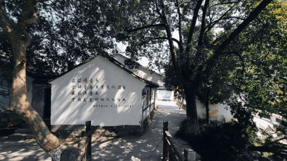 冰爽夏日·龙出没漂流|初夏水上避暑,漂流需勾选