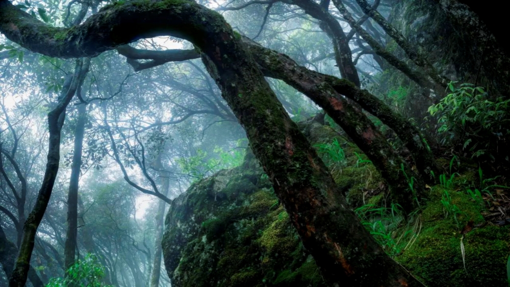 银辉盛夏·星辰山｜隐村松阳观星，解锁江南最后秘境