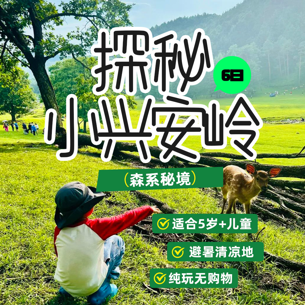 亲子·清凉东北6日 | 哈工大+探秘森系小兴安岭