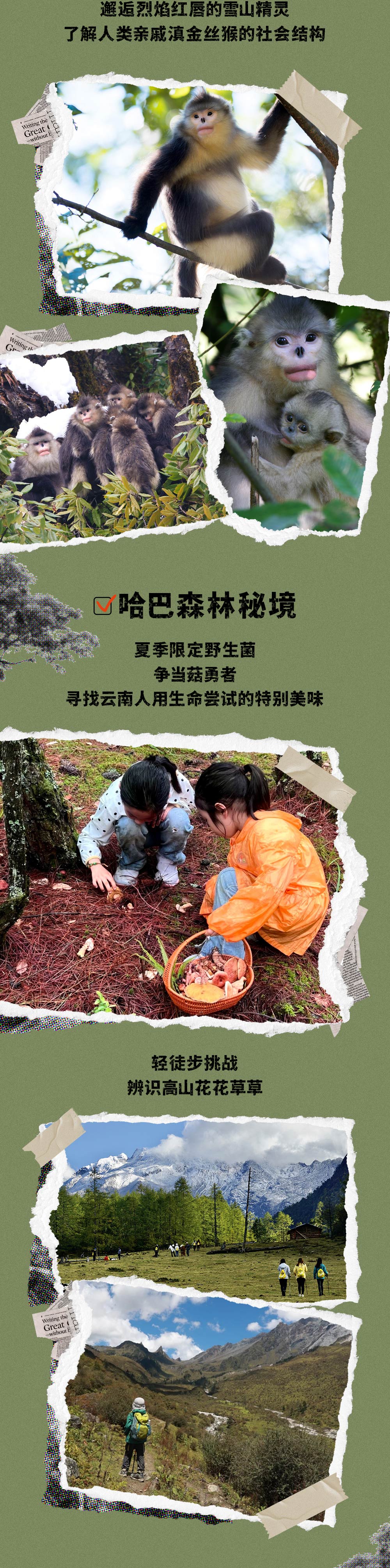 亲子·云南雪山星空6日 | 玉龙哈巴双雪山&虎跳轻徒 - 云南亲子 | 人生第一次雪山露营 | 雪山峡谷森林星空 | 雪山营地野趣活动 | 虎跳峡高路轻徒步 | 滇金丝猴国家公园 | 纳西东巴文化