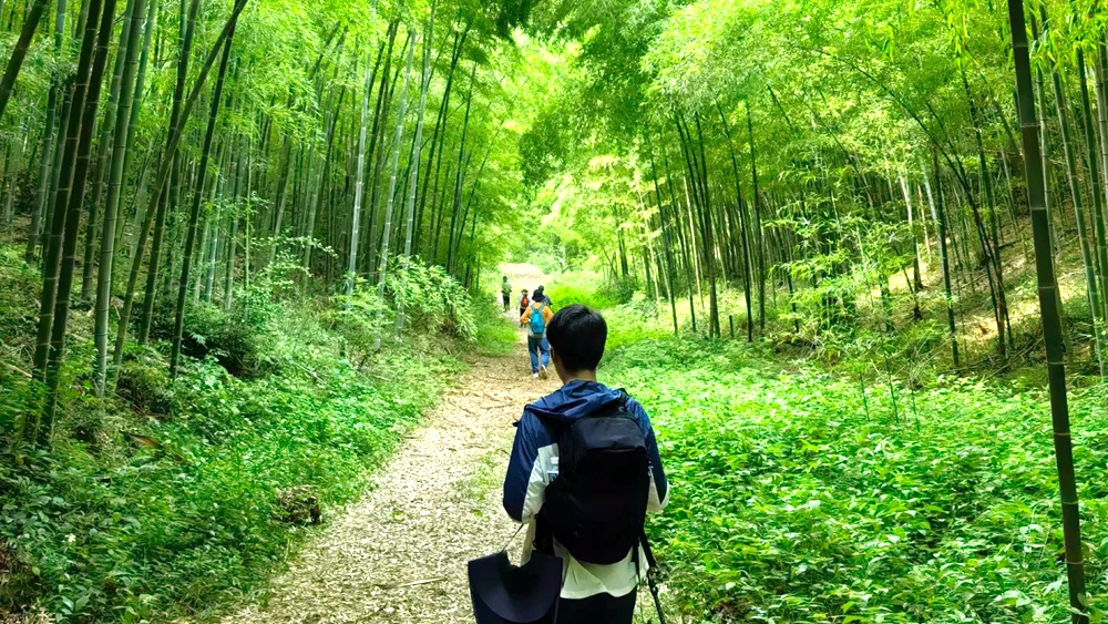 88元特惠·溧水东庐山+高淳慢城 | 打卡网红佛像