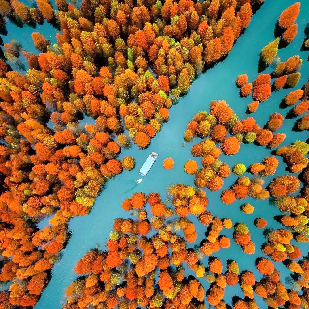 皖南全景秋摄 | 包含黄山景区，徽州经典秋色摄影6日