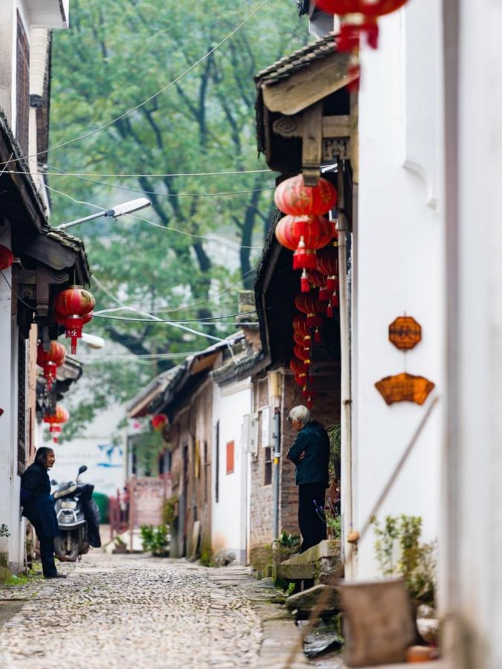 柿柿如意·沃洲金秋｜打翻秋日调色盘，走入画境新昌