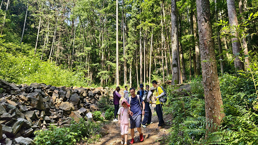 暮光森林·牧心谷丨30km千岛湖骑行,6km徒步