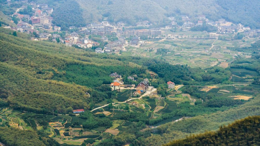 小城·德清|鹭飞于野,游于山水秀丽江南交汇处