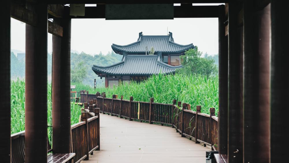 小城·德清|鹭飞于野,游于山水秀丽江南交汇处