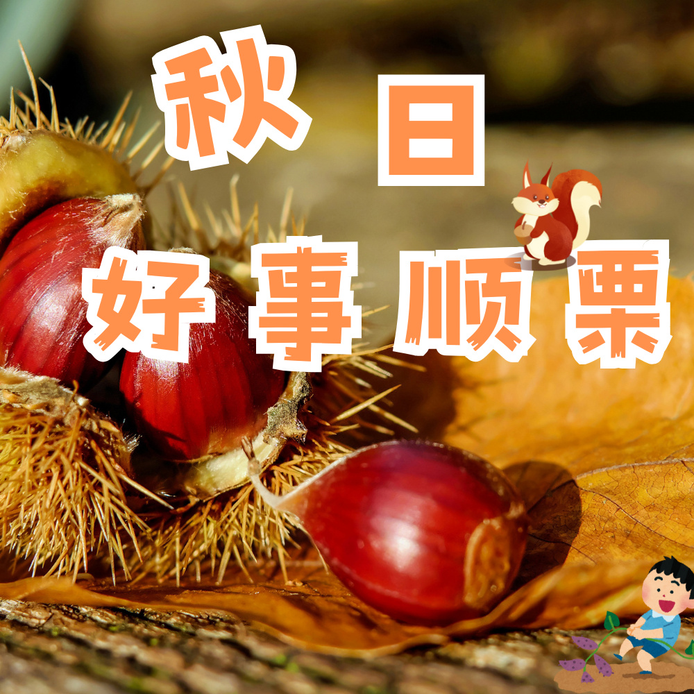 亲子·好事顺栗 | 喜迎秋收，竹筒饭、打板栗、挖红薯