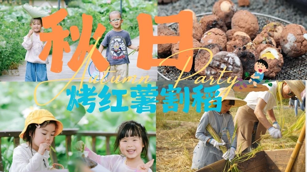 亲子·烤红薯割稻子 | 做新米饭团、泥巴炸蛋、荷叶茶
