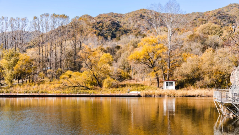 一叶知秋·玉渡山 | 京郊小瑞士休闲赏景1日