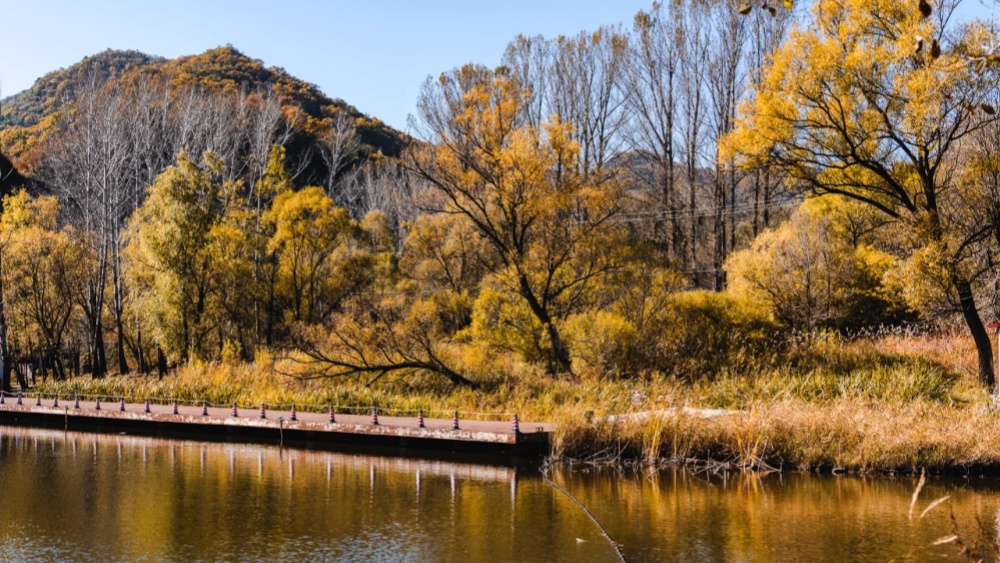 一叶知秋·玉渡山 | 京郊小瑞士休闲赏景1日