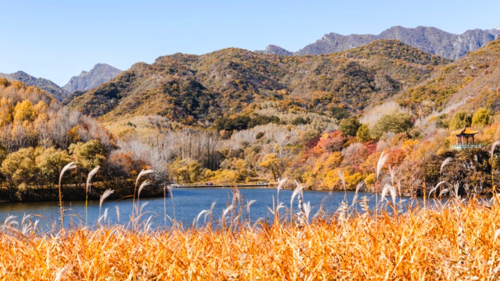 一叶知秋·玉渡山 | 京郊小瑞士休闲赏景1日