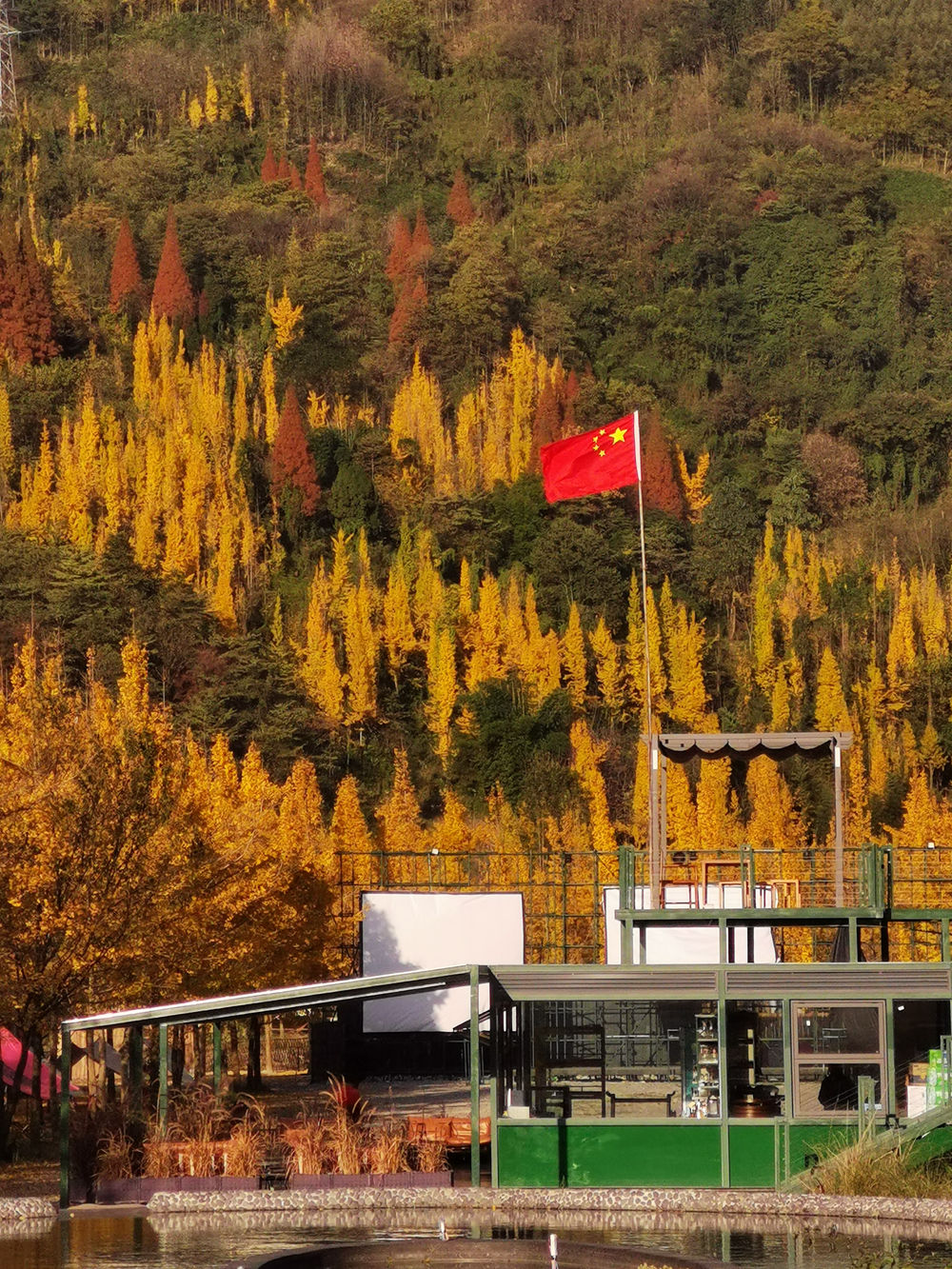 心动奇旅·都江堰|古城定向 秋色煮茶