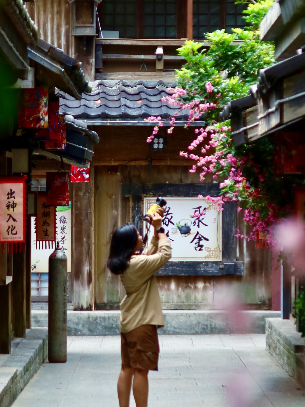 广东小喜洲丨崖口骑行追稻浪,邂逅秋日田园浪漫