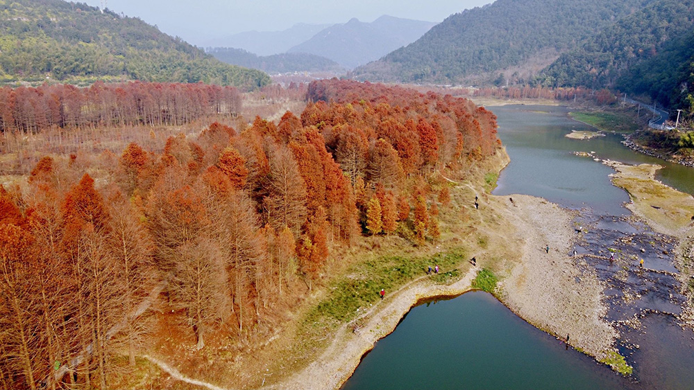 秋影水杉·武坑岩 | 踏入江南喀纳斯，徒步武坑石柱峰