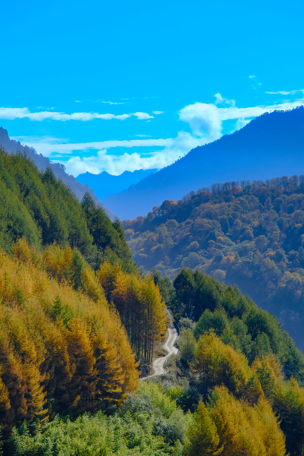 握爪联盟·秋色老鸦山|彩林漫山 高山牧场