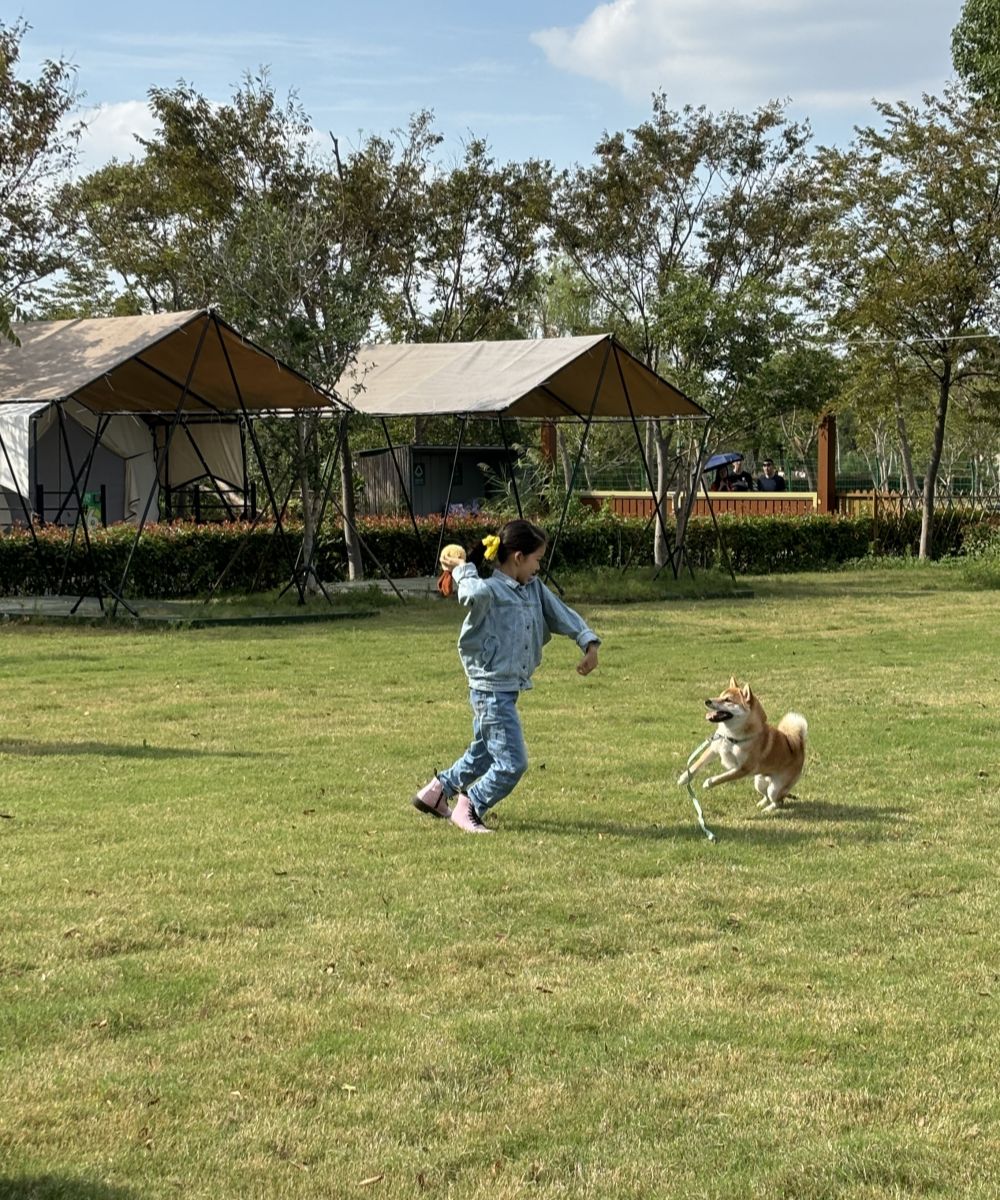 汪汪GO·夏日の南湖｜带毛孩子夏日皮划艇