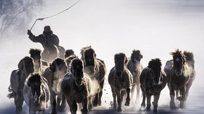 坝上冬摄 | 乌兰布统冰雪雾凇季,越野车小团创作6日