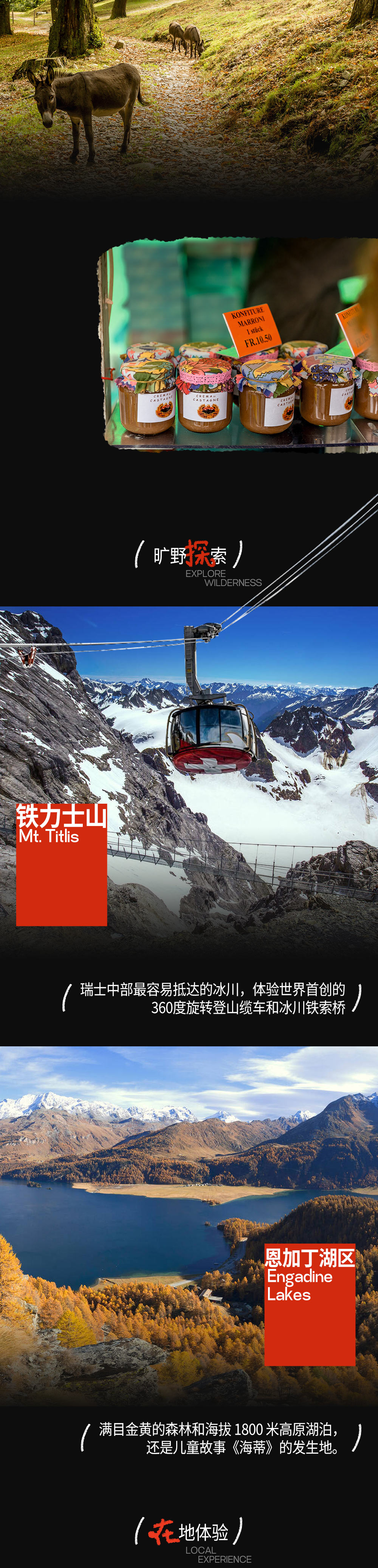 瑞士之秋·共赴一场自然山野的旅行邀请 - 目的地集合丨邂逅栗子节与葡萄园丨徒步油画般山与湖丨搭乘圣哥达列车与游船丨探险铁力士山冰川丨探索莱茵峡谷丨达沃斯SPA疗愈