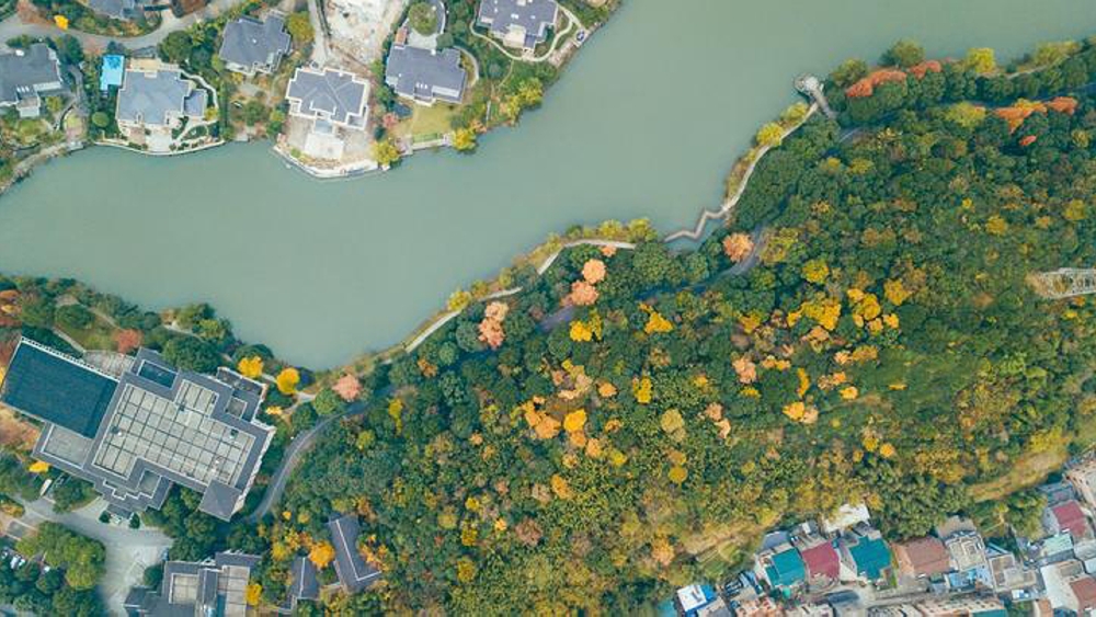 年终特惠·塘栖古镇丨无锡出发,逛吃古镇,轻徒湘湖