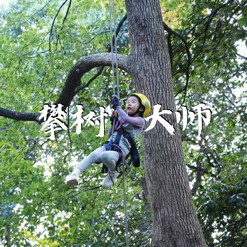 亲子户外·独立营·攀树大师半日 | 一起向上攀！