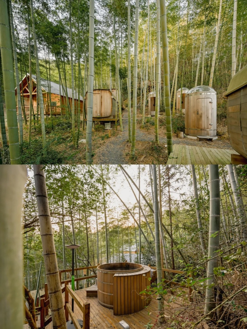 汪汪GO·迎新莫干山|法式木屋过大年,山野贺岁!