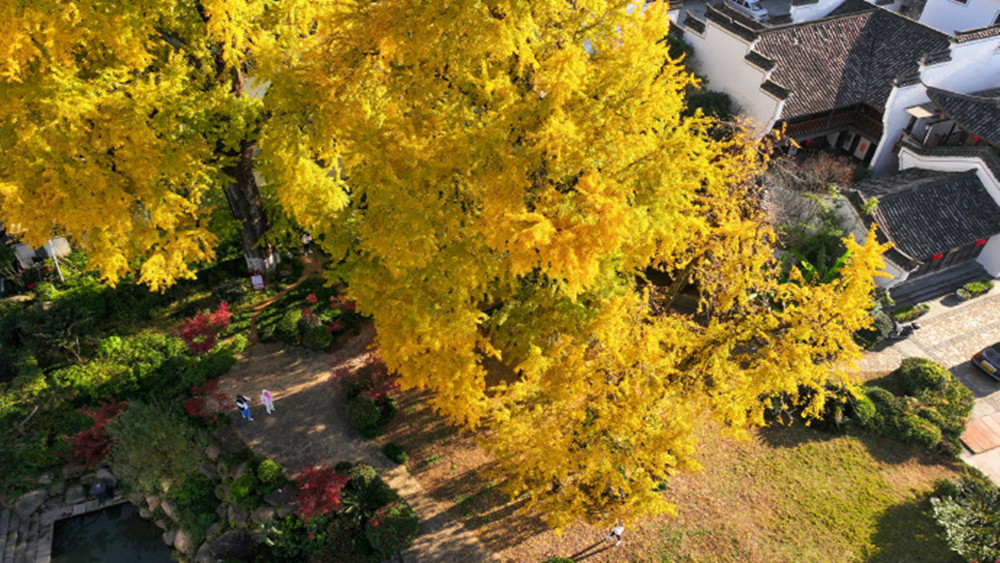 萧山集合·糯叽叽的桐庐 休闲户外，2种玩法可选
