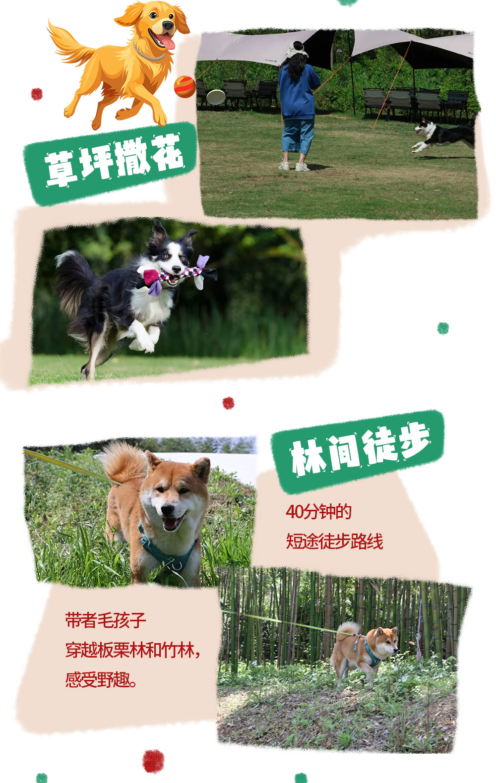 汪汪GO·迎新莫干山｜法式木屋过大年，山野贺岁！ - 2天1晚新春携宠游丨暖冬童话森林，入住法式独栋木屋丨携宠轻徒迎新辞旧，遥望莫干山脉雪景｜萌宠篝火晚会+户外桑拿