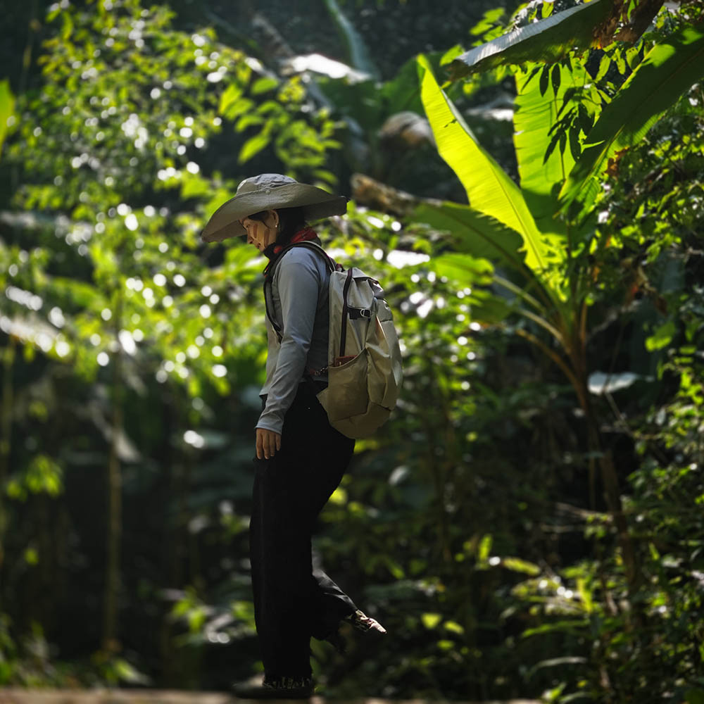 游侠风・第一届版纳雨林徒步大会・12.28启幕