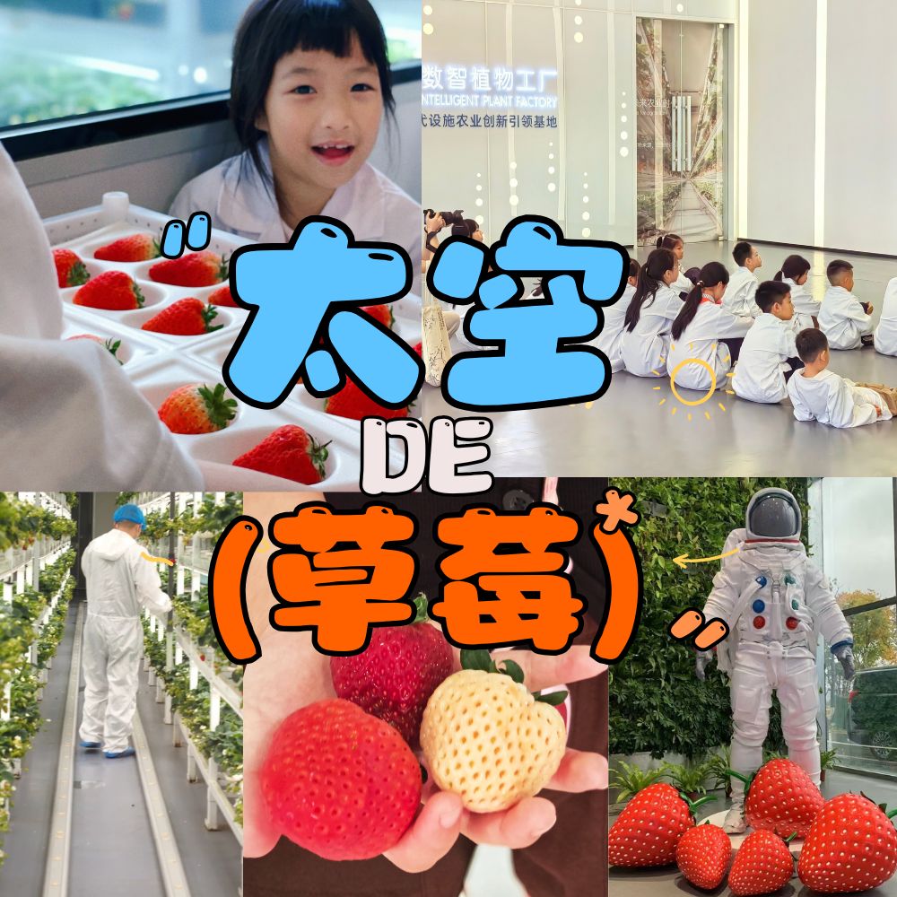 亲子·太空草莓 | 走进植物工厂，探秘未来农业4.0