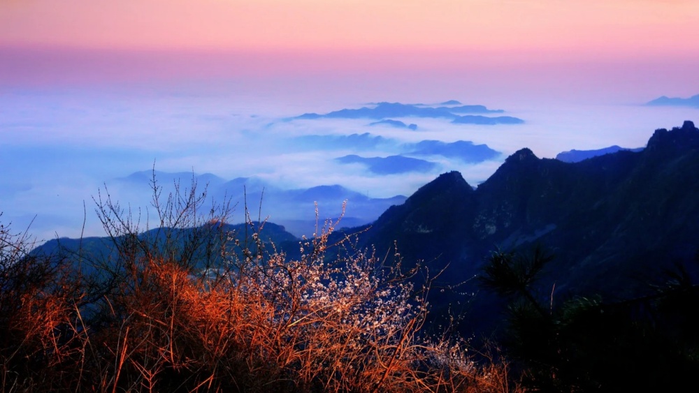 邂逅轿顶山 打卡华盖石丨解锁自然奇境观赏龙脉长城 - 轿顶山不仅有着壮丽的自然景观，还蕴含着丰富的人文历史。这里的每一块石头每一段长城每一个传说，都仿佛在诉说着中华文明的辉煌