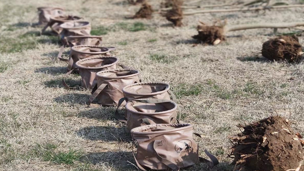江宁植树节·踏青植树,徒步十里长山凹,做环保卫士