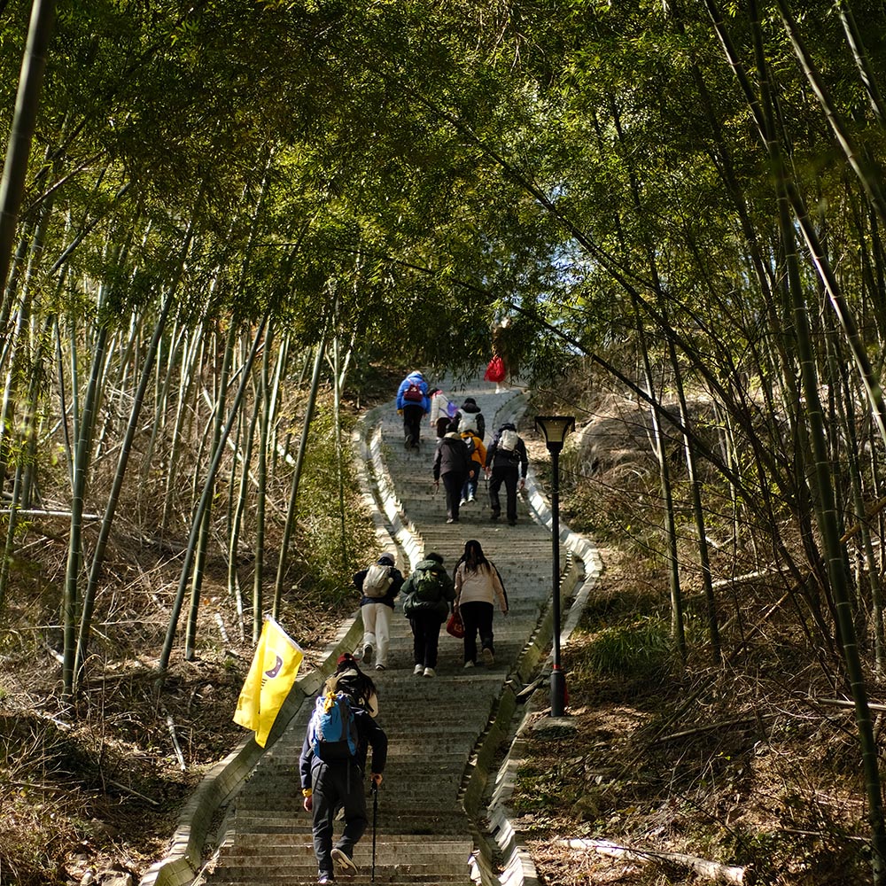 竹林幽幽·杭宣古道 | 重走唐代关口，釜托禅寺祈福