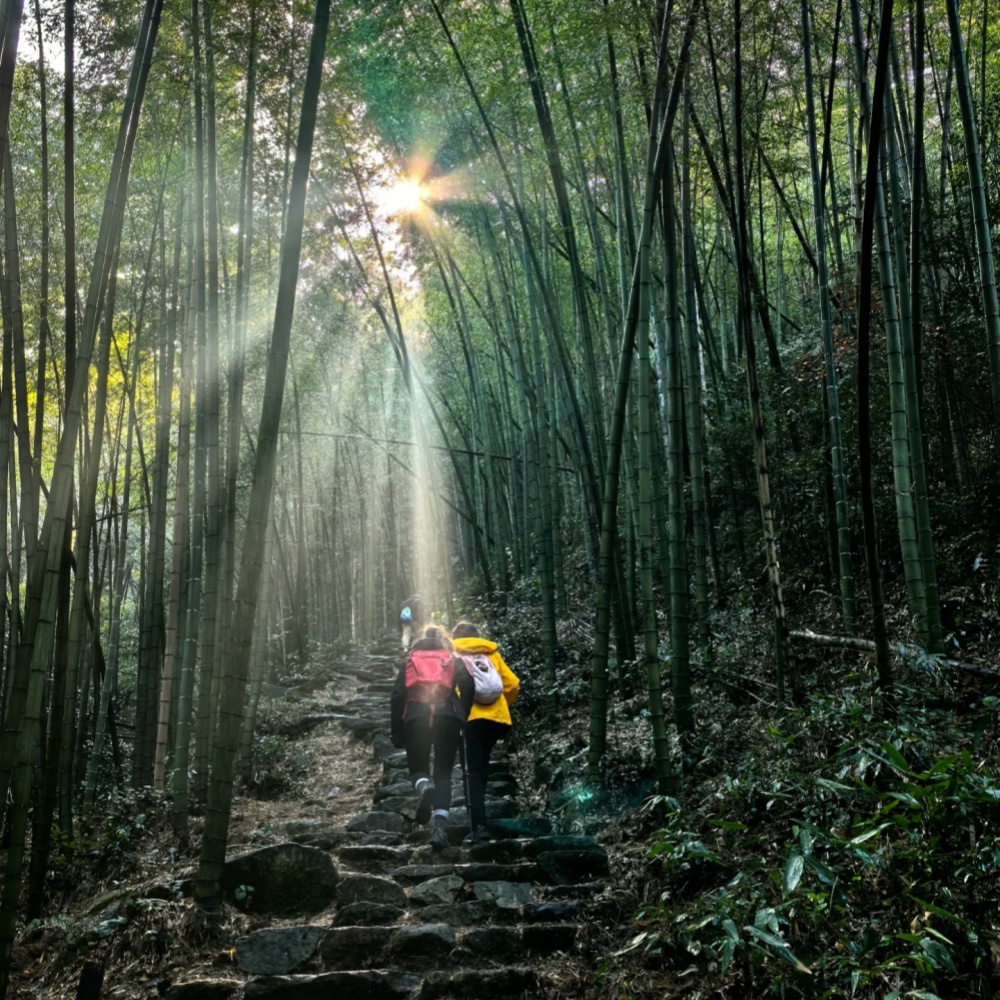 春徒戴村·草莓采摘|观亿年火山石,邂逅春日莓好!