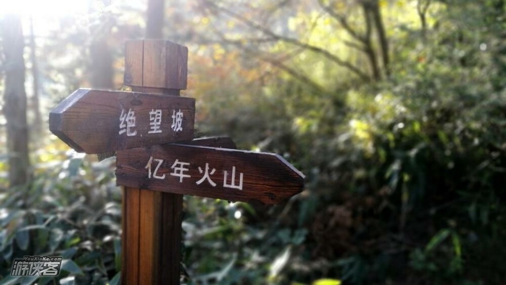 春徒戴村·草莓采摘|观亿年火山石,邂逅春日莓好!