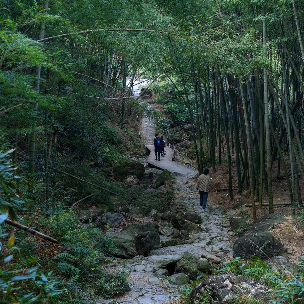 春徒戴村·草莓采摘|观亿年火山石,邂逅春日莓好!