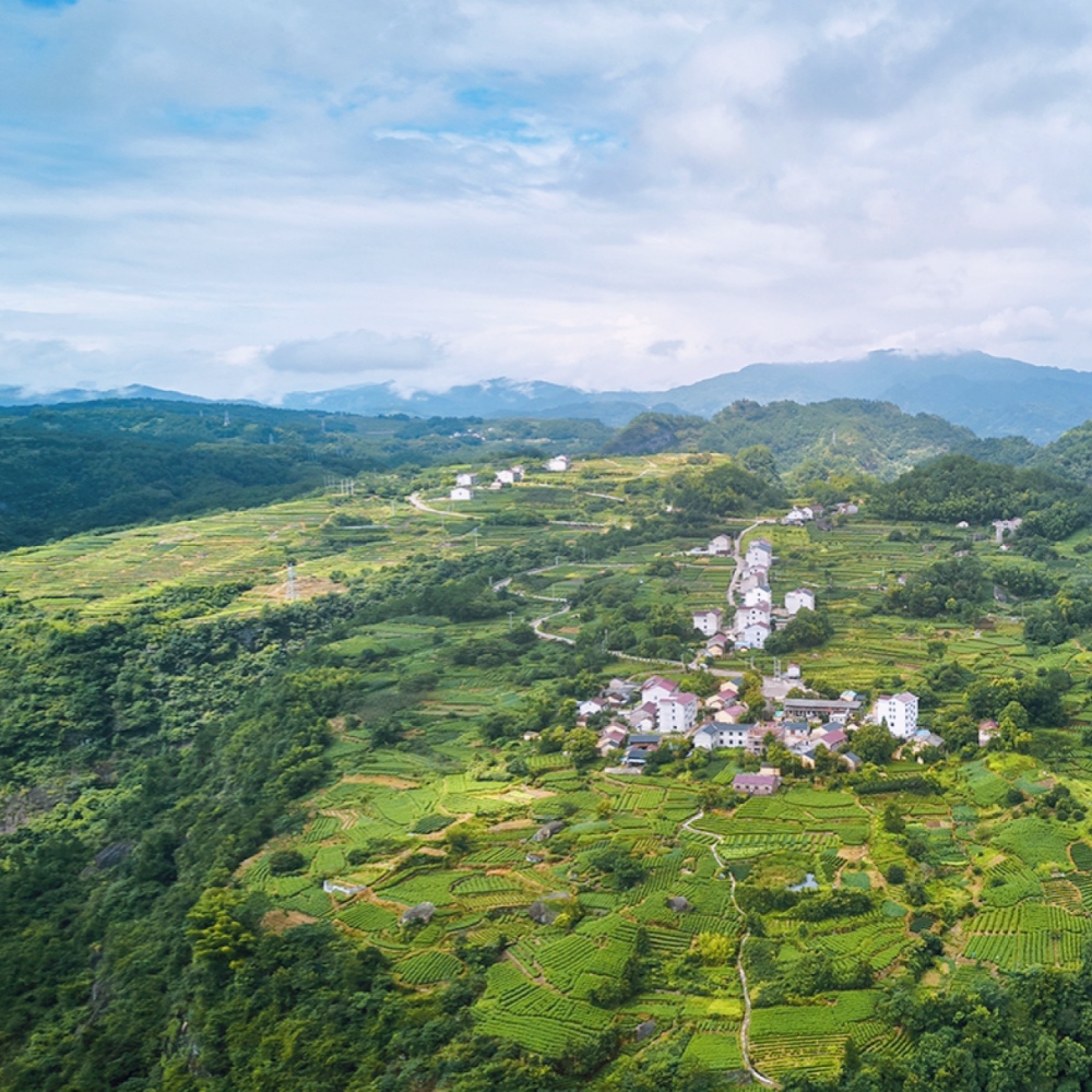 云上新昌·下岩贝｜穿岩十九峰，观日出云海