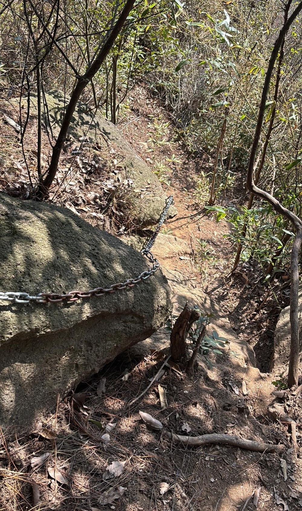 疾速追山·7旗连穿|登顶老鹰山,攀岩壁瞰诸暨山河