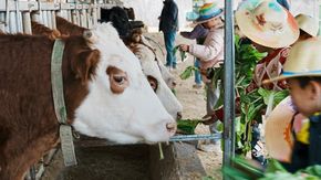 亲子·暖冬农场主1日 | 囤年货过大年,超赞冬藏会!