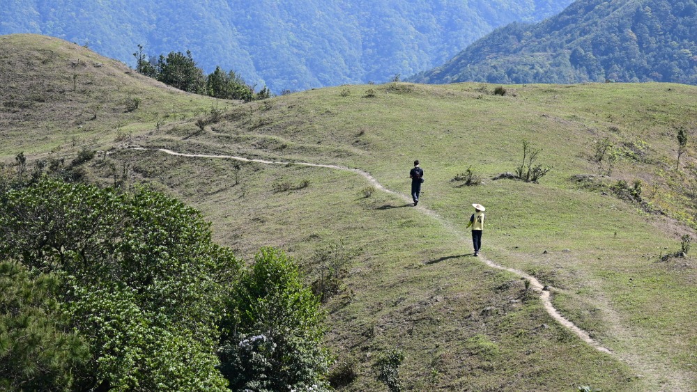 秘境八排山丨徒步广东喀拉峻,高山草甸