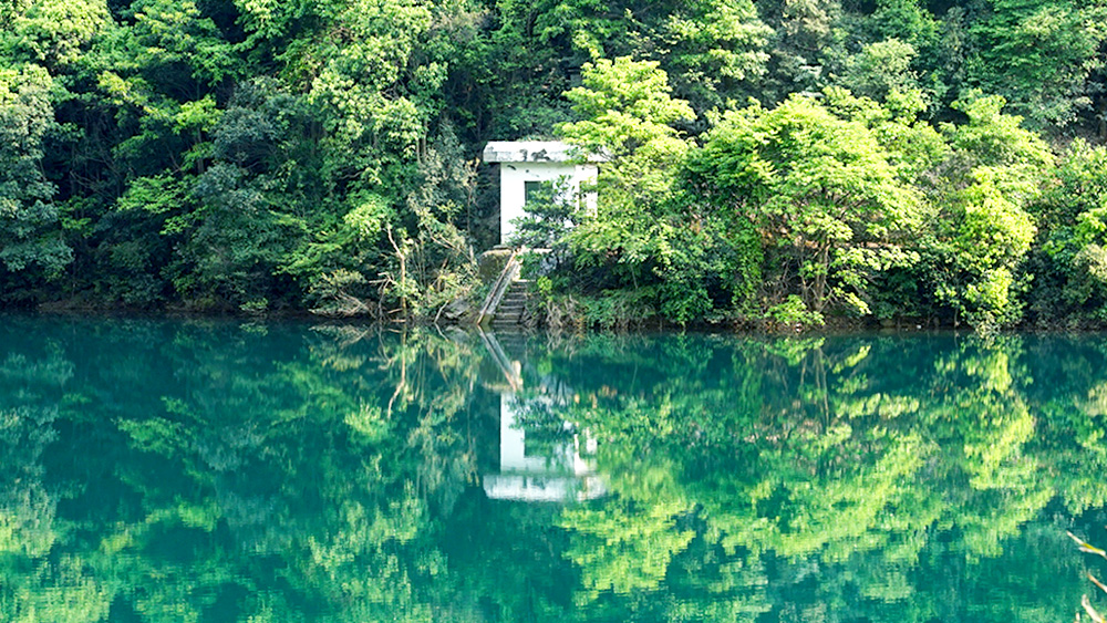 疾速·午潮山大环丨千亩茶田,打卡大洋坞水库
