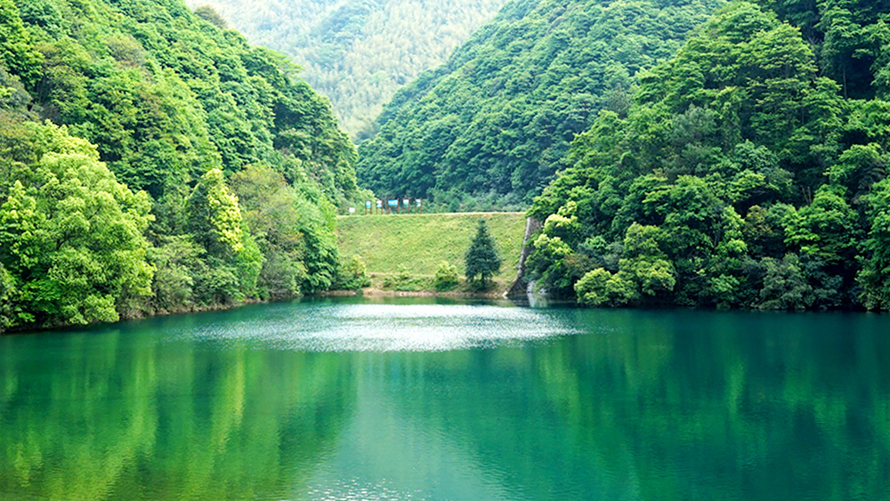 疾速·午潮山大环丨千亩茶田,打卡大洋坞水库