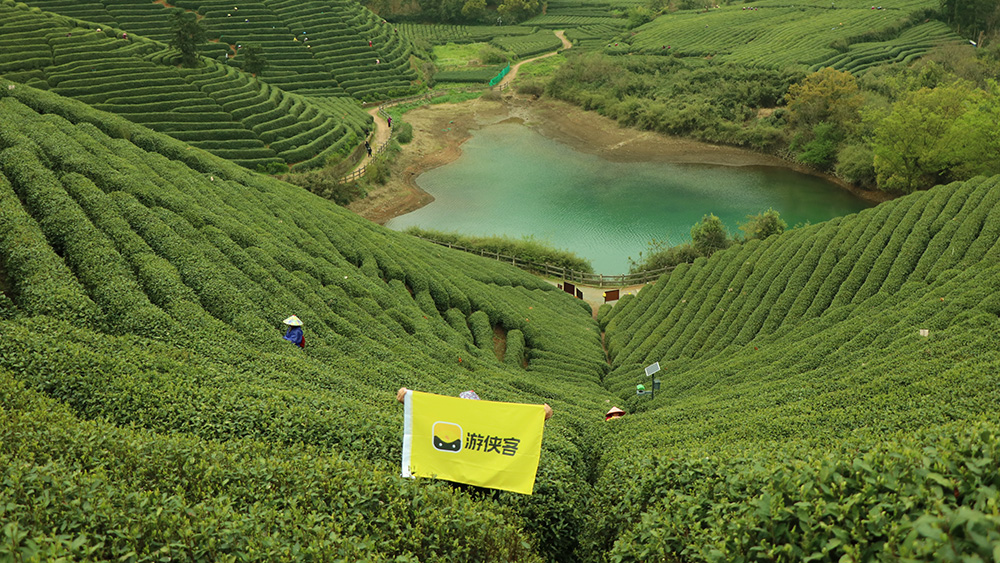 疾速·午潮山大环丨千亩茶田,打卡大洋坞水库